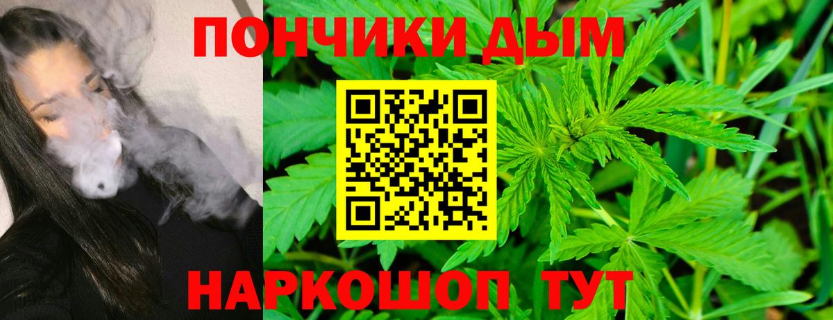 Долгопрудный  Марихуана план  Вход с VPN  Марихуана ГИДРОПОН  Шишки марихуана тримм  Бошки Шишки Amnesia 